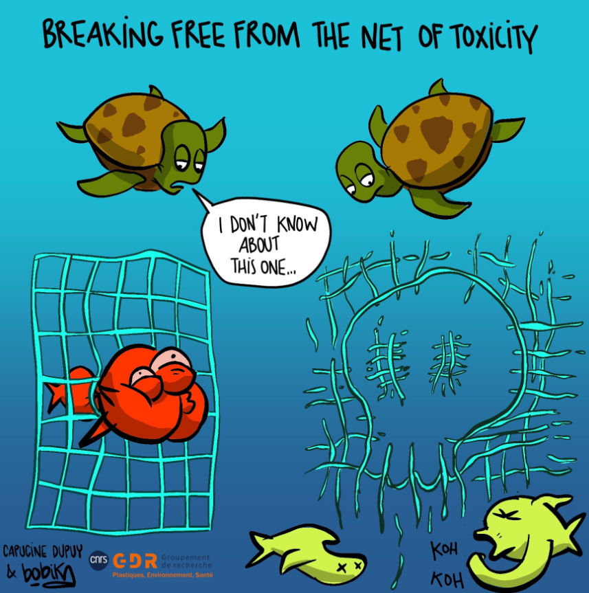 Illustration of the doctoral research on microplastics, nanoplastics and additives from fishing gear degradation in the Bay of Biscay